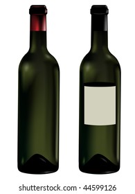 wine bottles vector illustrated