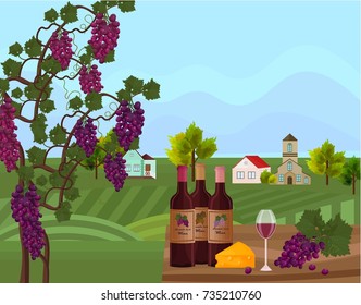 Wine bottles and vine background Vector. Green farm decor