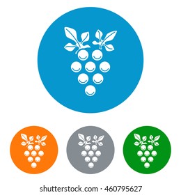 Wine brunch flat icons set in colorful circles. Vine with grapes vector illustration