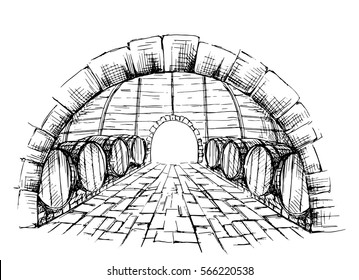 Wine cellar with barrels in graphic style hand-drawn vector illustration