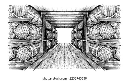 Wine cellar with barrels in hand-drawn vector. Wine cellar, winery 
in engraved style