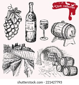 wine collection. hand drawing set of vector sketches