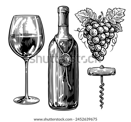 Wine drink concept. Bottle of wine, wineglass, corkscrew and bunch of grapes. Sketch vintage vector illustration