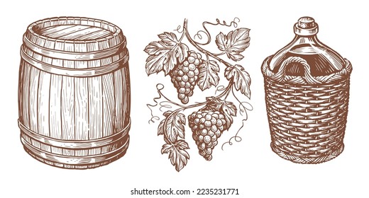 Wine drink sketch. Wooden barrel, vine, bottle in wicker basket, grapevine. Winery concept. Vintage vector illustration