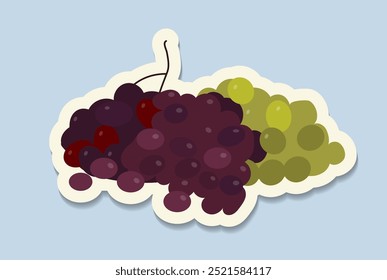 Etiqueta engomada del festival del vino. Uvas rojas y verdes. Bodega y vinificación, viñedo. Bebidas alcohólicas. Plantilla y maquetación. Ilustración vectorial plana aislada sobre fondo azul