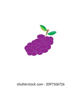 wine fruit design illustration icon logo templat