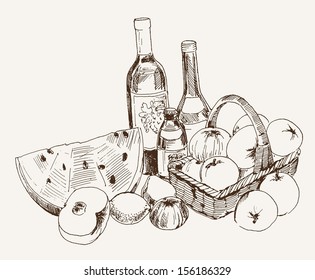 wine and fruit. vector sketch