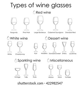 Wine glass set or classification collection isolated on white. Vector illustration.Ink liner outline