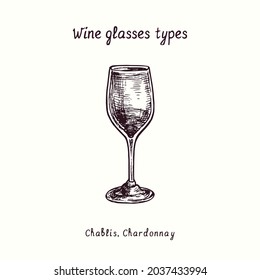 Wine glasses types collection, Chablis, Chardonnay. Ink black and white doodle drawing in woodcut style.