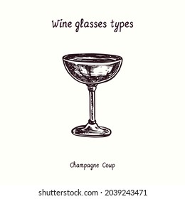 Wine glasses types collection, Champagne Coup. Ink black and white doodle drawing in woodcut style.