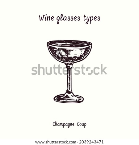 Wine glasses types collection, Champagne Coup. Ink black and white doodle drawing in woodcut style.