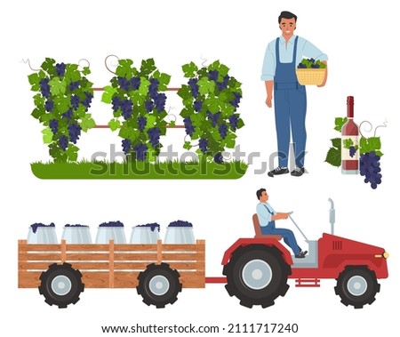 First grape harvest of the season in Villarrobledo, Spain
