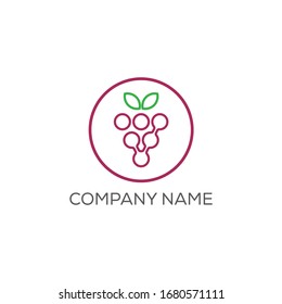 Wine, grape logo design template. Vector illustration of icon.