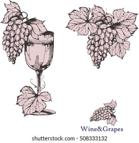 Wine and grape set. Winemaking products in sketch style. Vector illustration with wine glass, grapes, grape twig. Classical alcoholic drink. Logo and menu design.