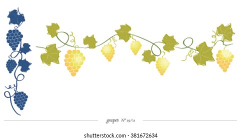 wine grapes in blue and yellow
