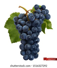 Wine grapes. Fresh fruit, 3d realistic vector