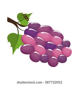 wine grapes fruit icon