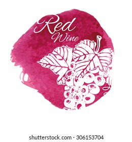 Wine & grapes hand drawn vector illustrations