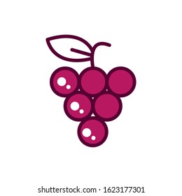 wine grapes ingredient fruit celebration drink beverage icon vector illustration line and filled