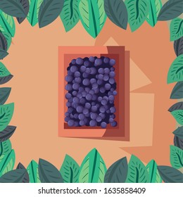 Wine grapes inside box design, Winery alcohol drink beverage restaurant and celebration theme Vector illustration