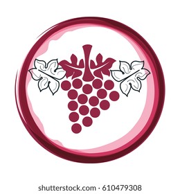wine grapes isolated icon