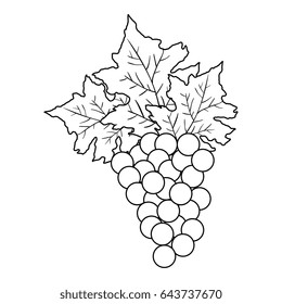 wine grapes isolated icon