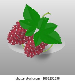 Wine grapes, table red grapes. Fresh fruit. 3d realistic fruit for icons, design, labels.