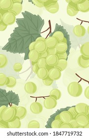 Wine grapes, table grapes vector hand drawn card design. Fresh berries on branch with leaves. Green grapes vine with stem and leaf. Juicy summer fruits for restaurant or cafe poster design.
