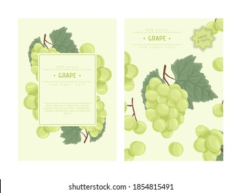 Wine grapes, table grapes vector hand drawn card design. Fresh berries on branch with leaves. Green grapes vine with stem and leaf. Juicy summer fruits for restaurant or cafe poster design.