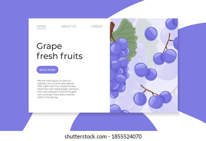 Wine grapes, table grapes vector hand drawn landing page concept. Fresh berries on branch with leaves. Purple grapes vine with stem and leaf. Juicy summer fruits for restaurant or cafe website design.