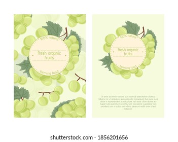 Wine grapes, table grapes vector hand drawn card design. Fresh berries on branch with leaves. Green grapes vine with stem and leaf. Juicy summer fruits for restaurant or cafe poster design.