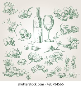 Wine and grapes vector kit