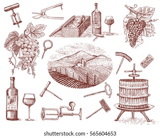 wine harvest products, press, grapes, vineyards corkscrews glasses bottles in vintage style, engraved hand drawn sketch.
