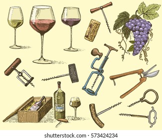 wine harvest products, press, grapes, vineyards corkscrews glasses bottles in vintage style, engraved hand drawn.