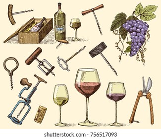 wine harvest products, press, grapes, vineyards corkscrews glasses bottles for menus and signage in the bar. engraved hand drawn in old sketch, vintage style for label or T-shirt.