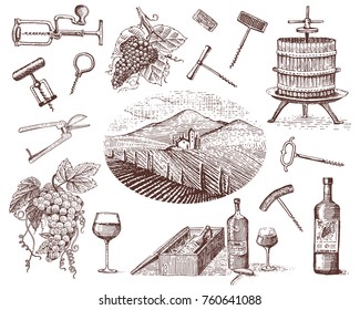 wine harvest products, press, grapes, vineyards corkscrews glasses bottles for menus and signage in the bar. engraved hand drawn in old sketch, vintage style for label or T-shirt.