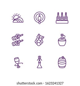 Wine icon set design of Winery alcohol drink beverage restaurant celebration and party theme Vector illustration