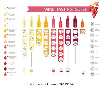 Wine Infographics With Food Pairing, Bottle And Glass Type, Wine Types And Colors.