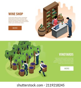 Wine isometric horizontal banners set with vineyards and shop symbols isolated vector illustration