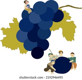 Wine, kid on grapes, drinking grape juice vector illustration. Little boy with grapes fruits. Food illustration. Season of collecting harvest, grape for wine festive. Health and diet of fresh fruits.