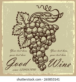Wine label design contains images of graphic picture of grapes on light  vintage background,text and place for text. Wine label design with grapes.Etching style.