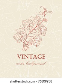 Wine Label With  Grape Branch In Retro Style