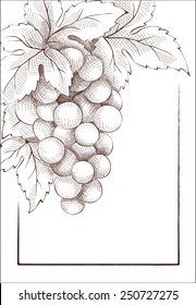 Wine label. Graphic vector illustration.