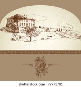 wine label, hand drawn vineyard