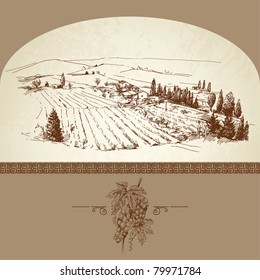 wine label - hand drawn vineyard