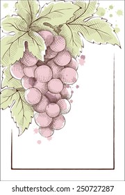 Wine label. Vector illustration.
