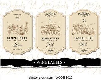 Wine label. Vineyard landscape hand drawn illustration, wine label design template. Vintage wine label. Drawing vineyard.