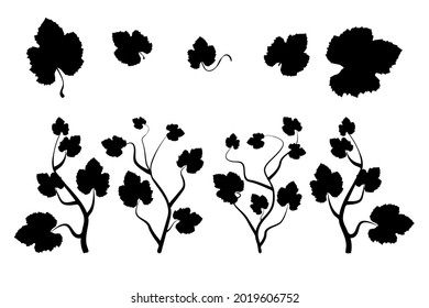 Weinblätter und Zweige Silhouetten einzeln auf weißem Hintergrund. Sammlung von Traubenpflanzenformen. Frühlings- oder Naturpflanzendesign. Blumenmuster. Stock-Vektorgrafik