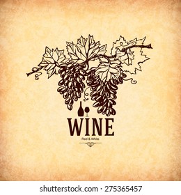 Wine list design. Vector brochure template for wine shop, winery, wine list, cafe, restaurant, bar. Food and drinks logotype symbols. Wine bottles and wine glasses
