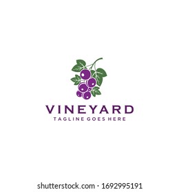 The Wine logo design illustration template with Grape fruit design Vector icon
